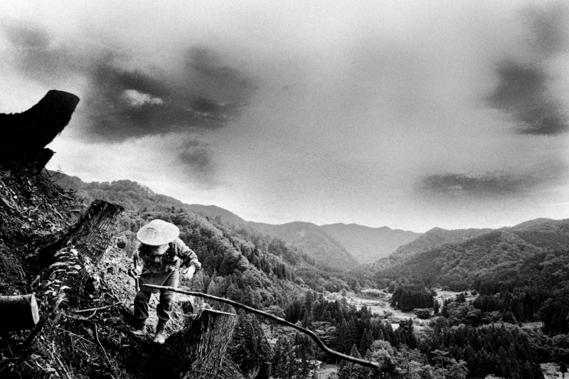 ©Hajime Kimura Matagi 12, 2007-2013 courtesy of IBASHO Gallery ©Hajime Kimura Matagi 12, 2007-2013 courtesy of IBASHO Gallery