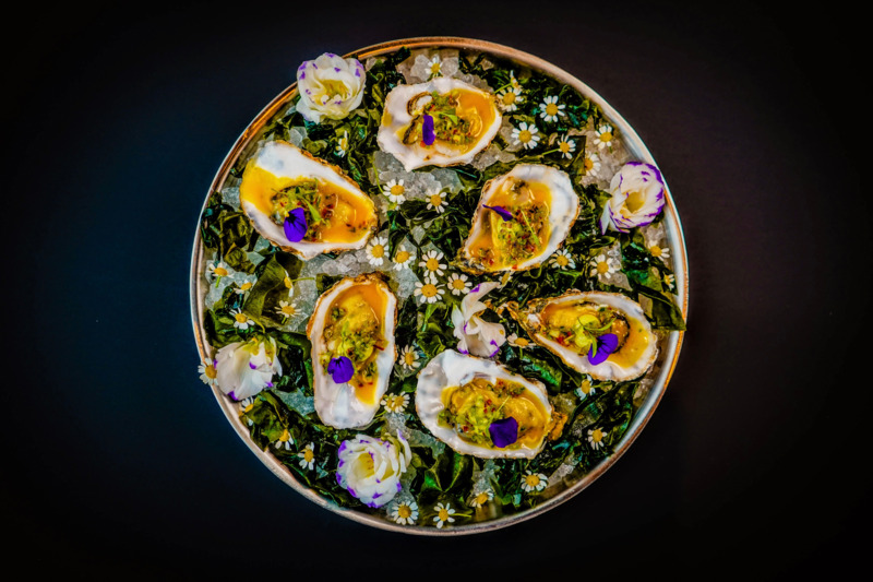 Oyster - BlueBlood The Hague Oyster - BlueBlood The Hague