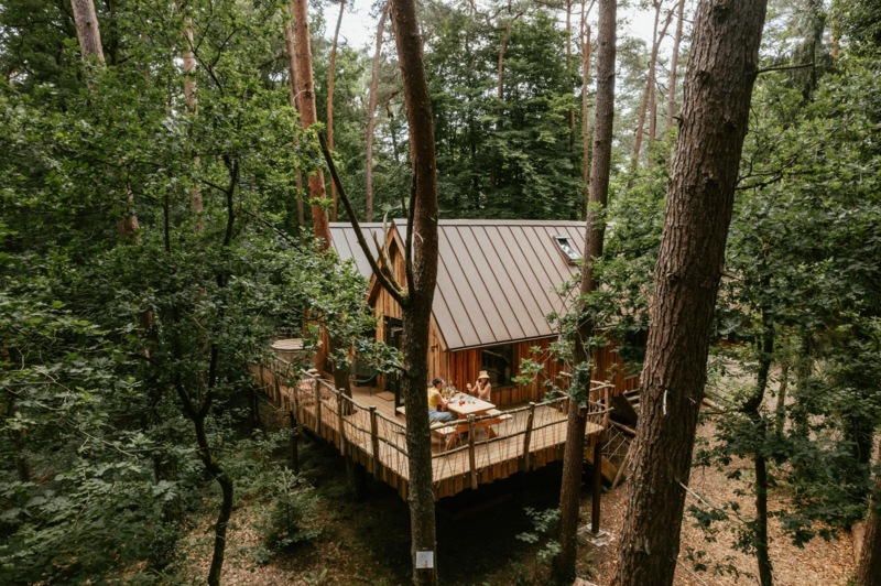 Natuurhuisje 81761: Boomhut in de Oisterwijkse Bossen Natuurhuisje 81761: Boomhut in de Oisterwijkse Bossen