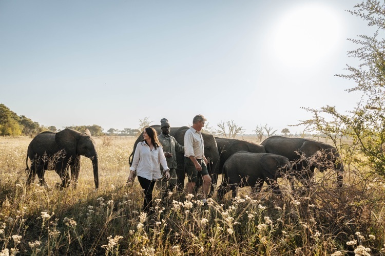The Atzaro African Ultimate Experience The Atzaro African Ultimate Experience