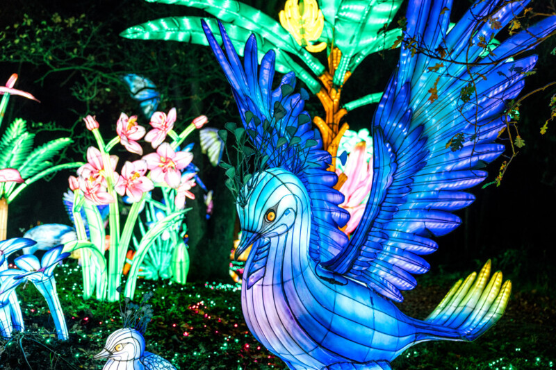 Light Safari Beekse Bergen Light Safari Beekse Bergen