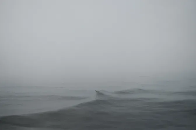 Transcripts of a Sea © Stephan Vanfleteren Transcripts of a Sea © Stephan Vanfleteren