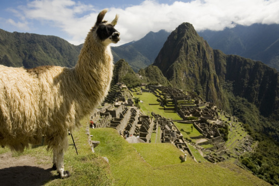 Vakantievoorpret op Peru On Tour