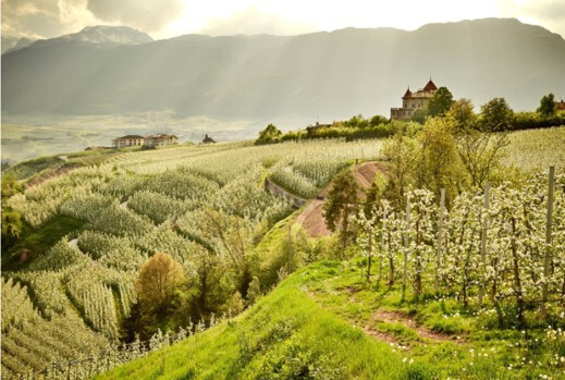 Wandelen door de tuin van Italië: Trentino