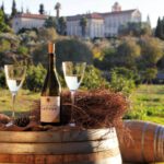Wijnproeverij in Israël? Dit zijn de 5 mooiste wijngaarden!