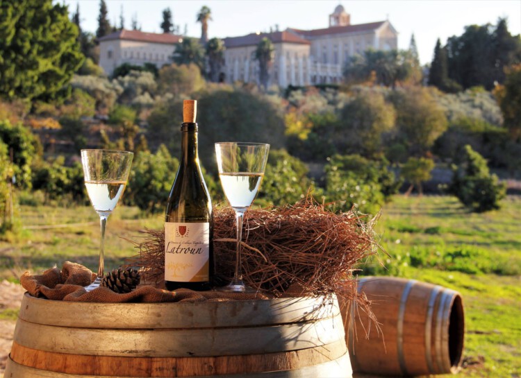 Wijnproeverij in Israël? Dit zijn de 5 mooiste wijngaarden!