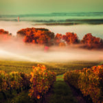 De mooiste wijnen voor de beste prijzen: 100 jaar Colaris