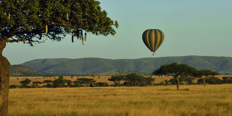 Ervaar Tanzania op unieke wijze: luxe safari’s voor de stijlbewuste avonturier
