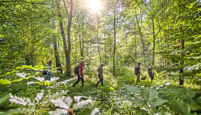 Duurzaam vakantievieren in Skåne