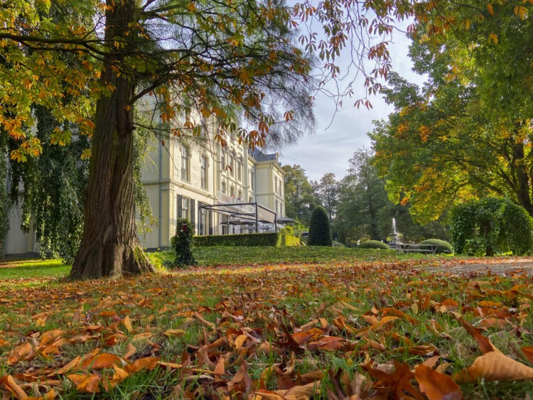 Achterhoeks wild spotten bij Villa Ruimzicht