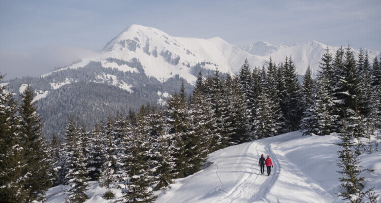 Culinaire winterwandelingen: genieten in de Tiroolse sneeuw